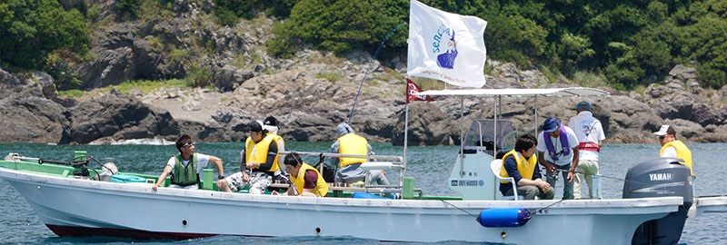 土佐清水市 海釣り体験 シーサークル Kj ツーリスト